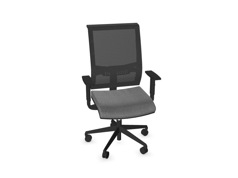 Компьютерное кресло EVA.II Цвет сидушки: AD2 - Серый, Цвет спинки: PM1 - Черный