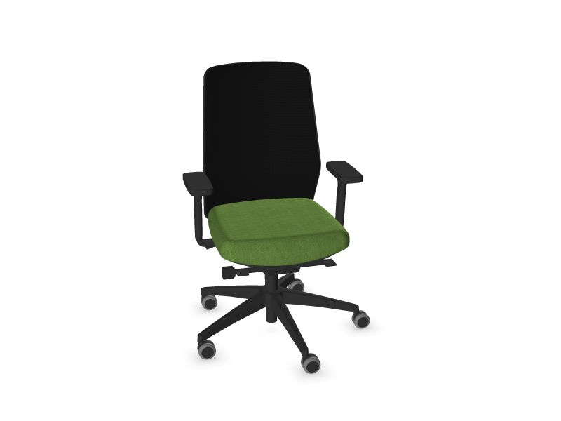 SURF. Frame colour - Black. Star colour - Black. Seat colour - Green. Backrest colour - Coal black. 