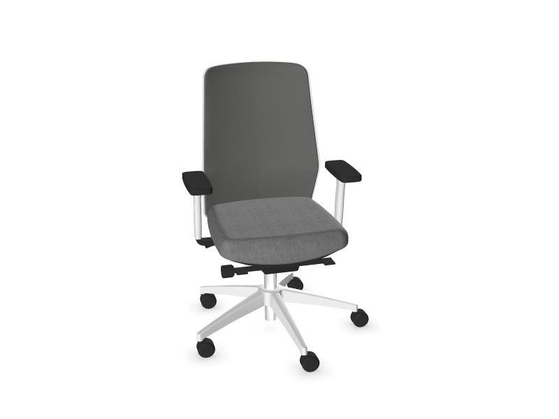 Компьютерное кресло SURF RM3 - Металлический серый Белый